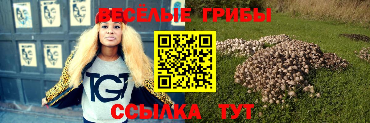 Омск  даркнет сайт  Вход с VPN  Галлюциногенные грибы Psilocybe 